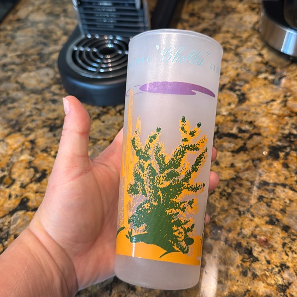 VTG MCM Blakely Oil Cactus Glass from Arizona “Cholla” Collectible Frosted Glass